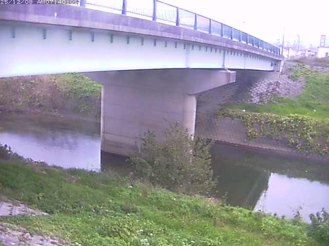 野坂川１2025/12/08 11:30:00