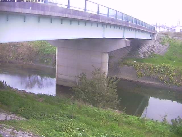 野坂川１2025/12/08 11:30:00