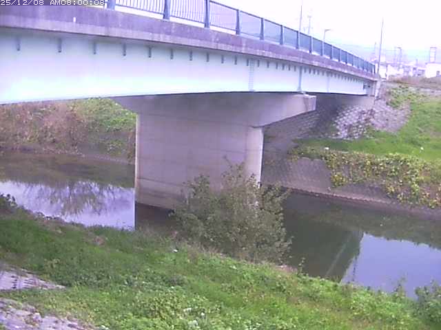 野坂川１2025/12/08 11:30:00