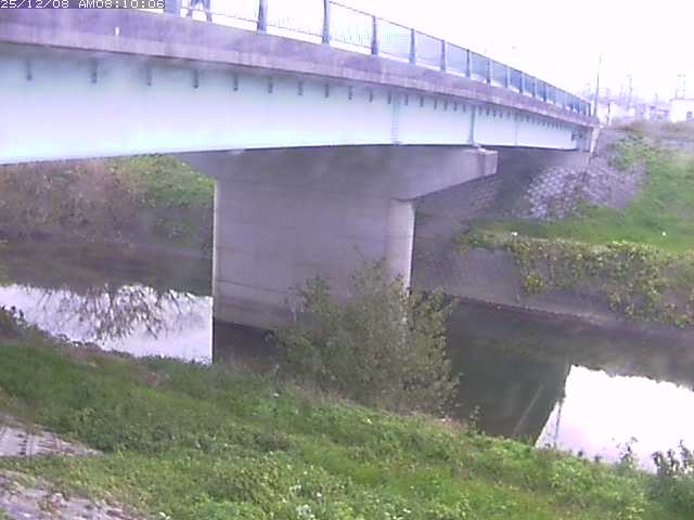 野坂川１2025/12/08 11:30:00