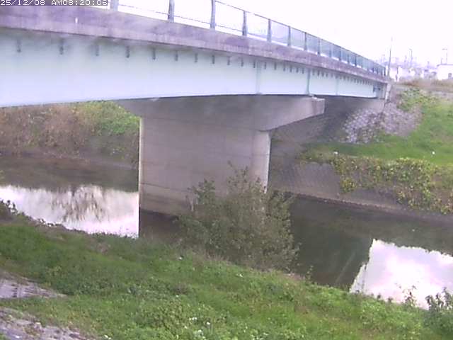 野坂川１2025/12/08 11:30:00