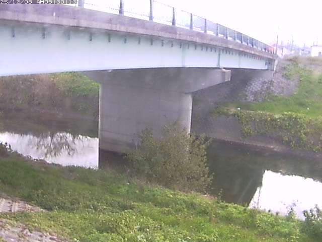 野坂川１2025/12/08 11:30:00