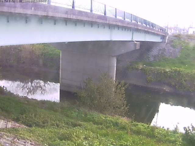 野坂川１2025/12/08 11:30:00