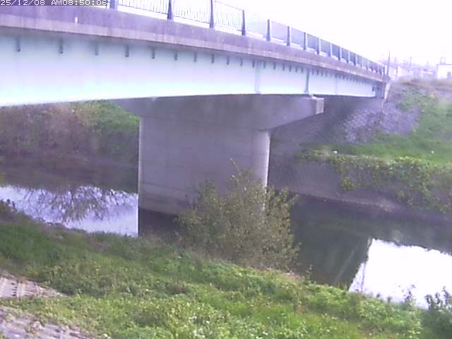 野坂川１2025/12/08 11:30:00