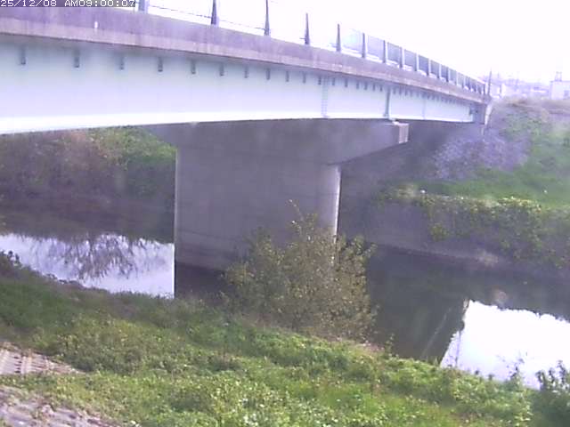 野坂川１2025/12/08 11:30:00