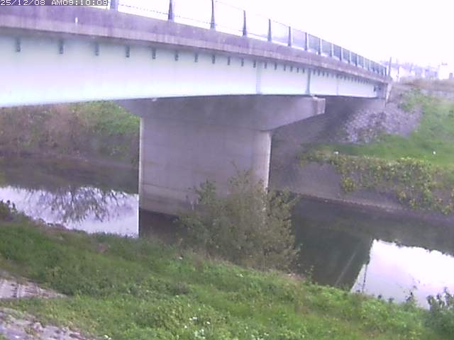 野坂川１2025/12/08 11:30:00