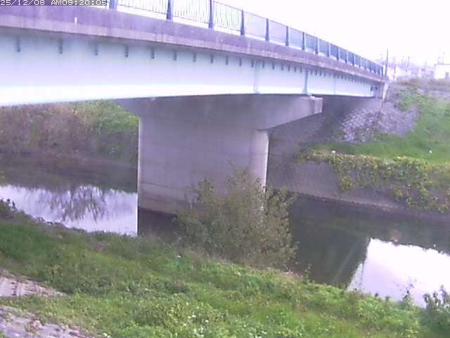 野坂川１2025/12/08 11:30:00