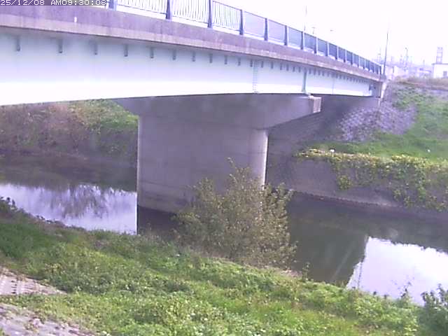 野坂川１2025/12/08 11:30:00