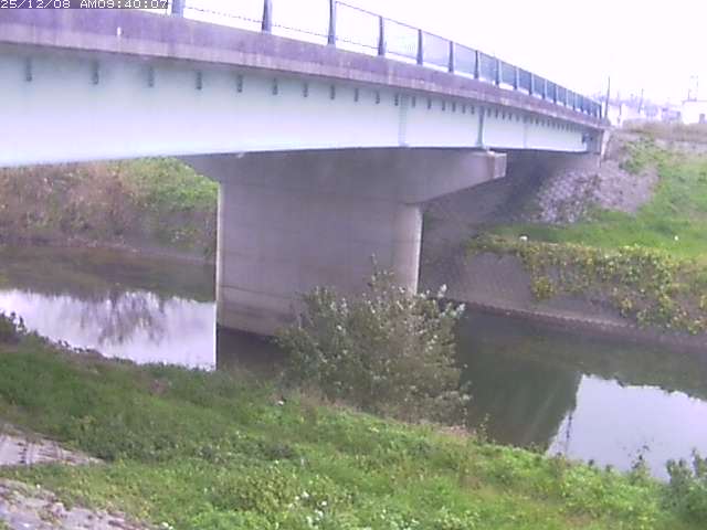 野坂川１2025/12/08 11:30:00