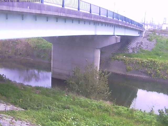 野坂川１2025/12/08 11:30:00