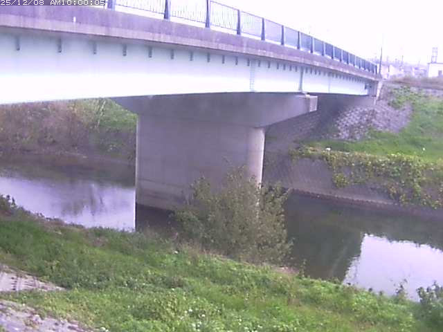 野坂川１2025/12/08 11:30:00