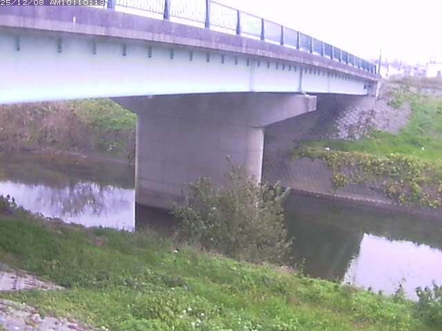 野坂川１2025/12/08 11:30:00