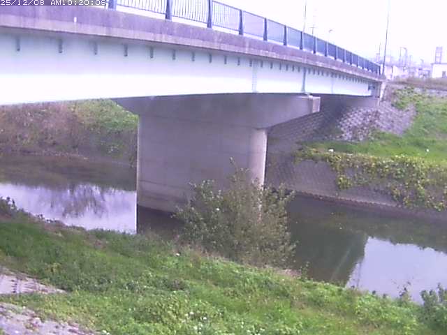 野坂川１2025/12/08 11:30:00