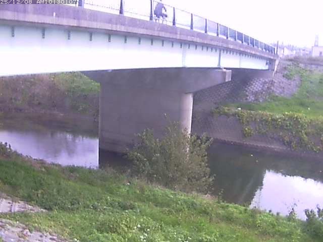 野坂川１2025/12/08 11:30:00