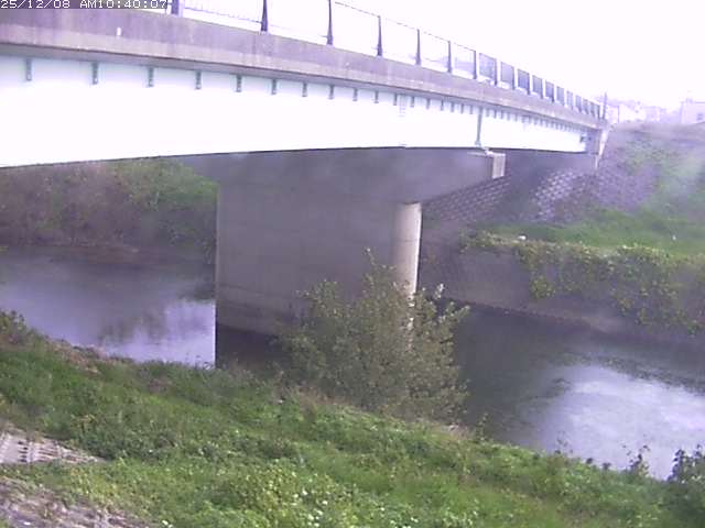 野坂川１2025/12/08 11:30:00