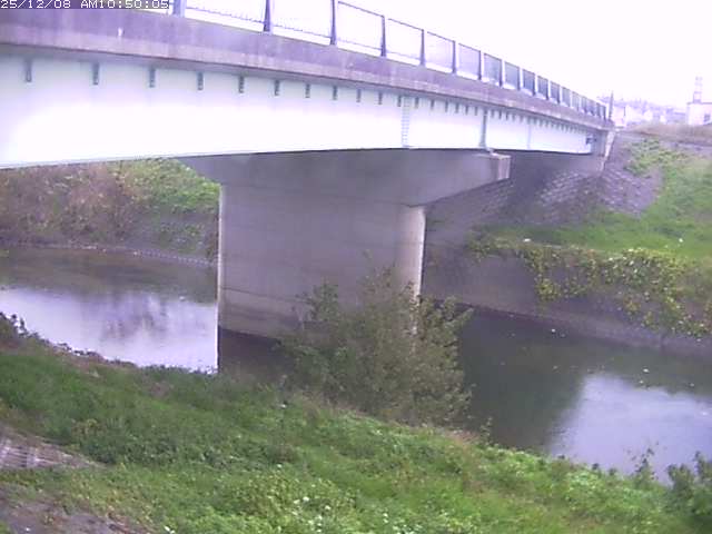 野坂川１2025/12/08 11:30:00