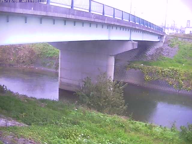 野坂川１2025/12/08 11:30:00