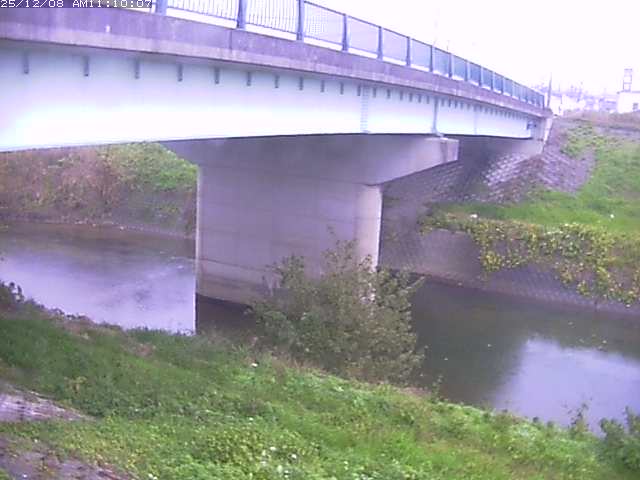 野坂川１2025/12/08 11:30:00