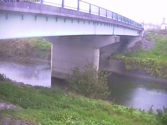 野坂川１2025/12/08 11:30:00