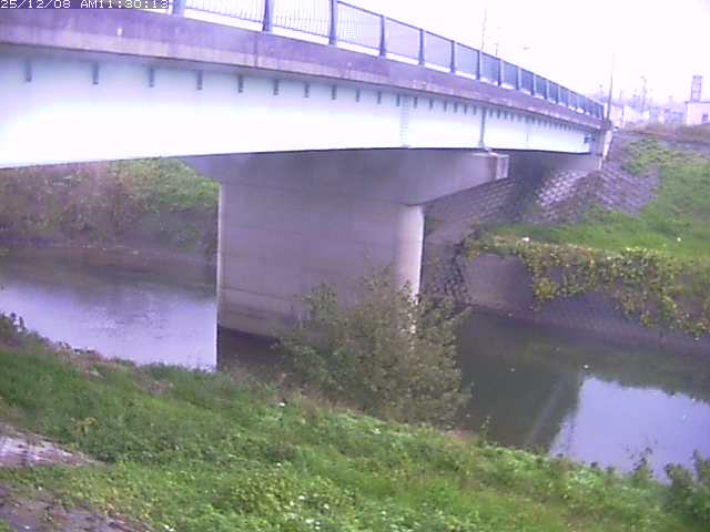 野坂川１2025/12/08 11:30:00