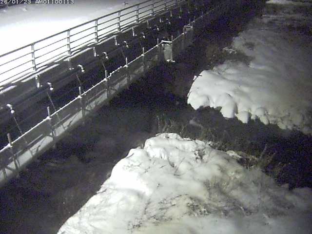 勝田川１2026/01/24 1:00:00