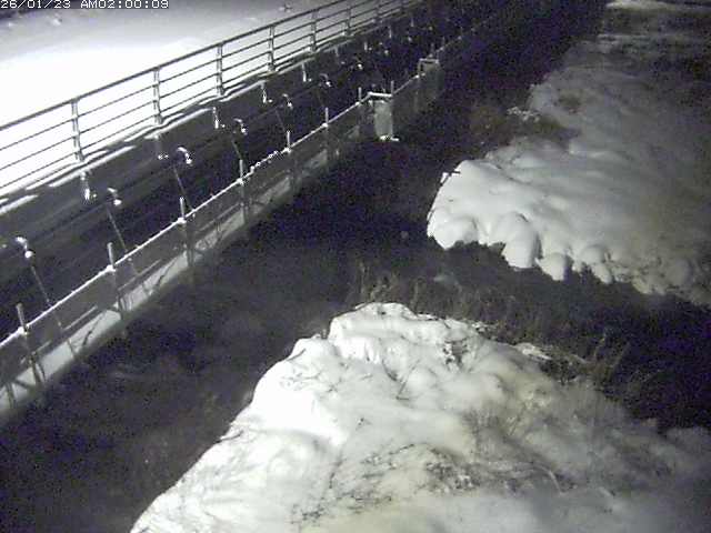 勝田川１2026/01/24 1:00:00