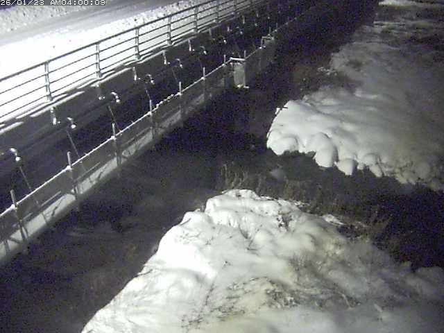 勝田川１2026/01/24 1:00:00