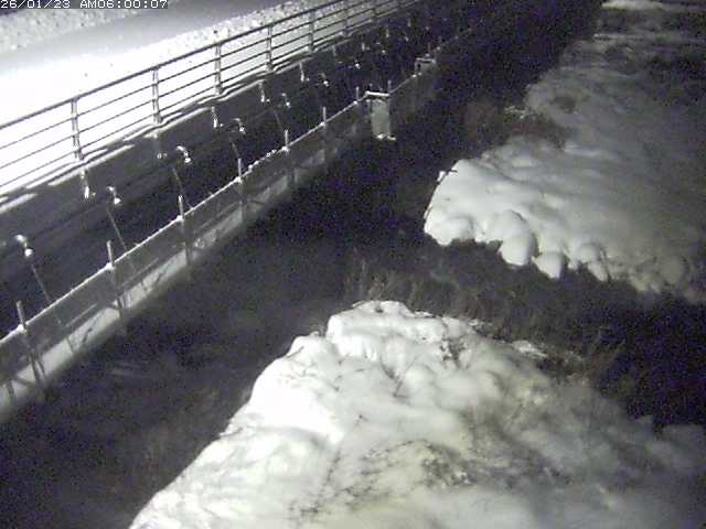 勝田川１2026/01/24 1:00:00