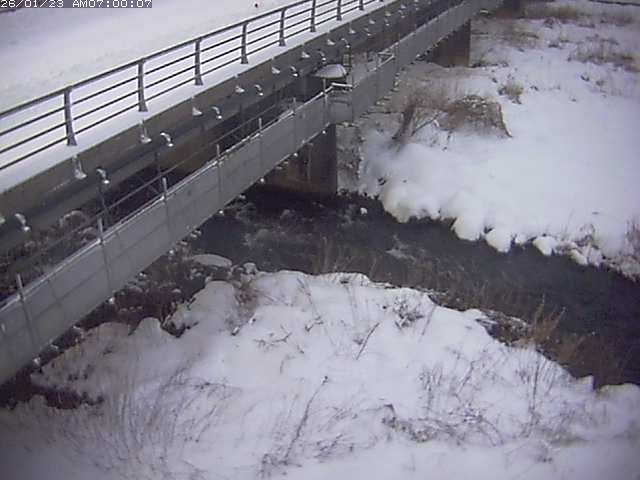 勝田川１2026/01/24 1:00:00