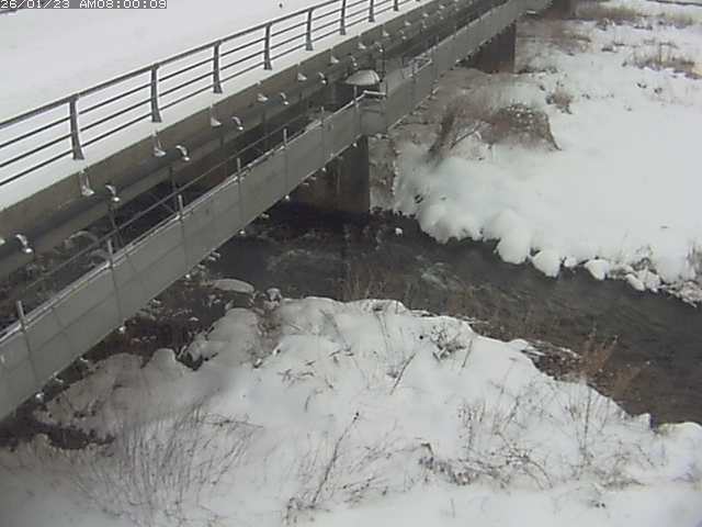 勝田川１2026/01/24 1:00:00