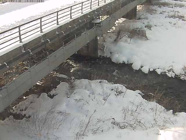 勝田川１2026/01/24 1:00:00