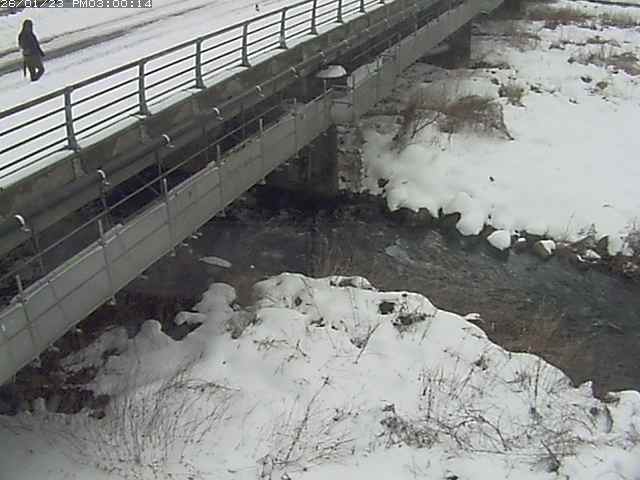 勝田川１2026/01/24 1:00:00