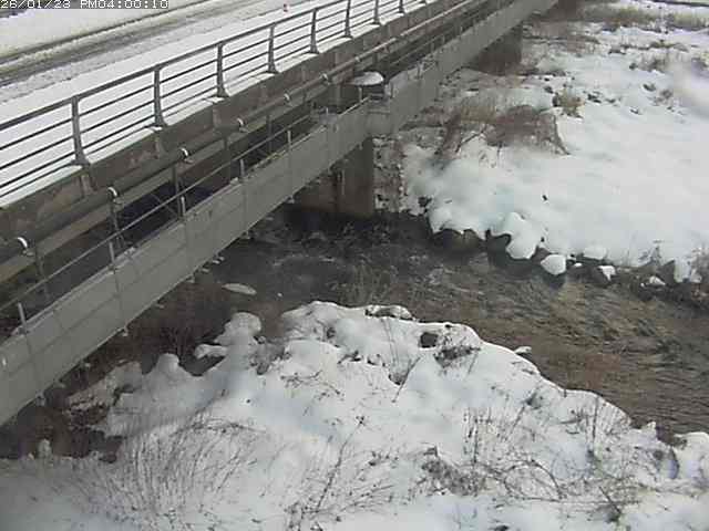 勝田川１2026/01/24 1:00:00