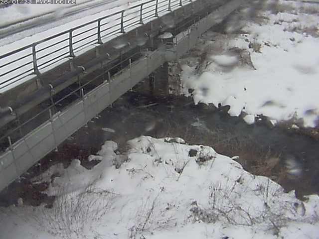 勝田川１2026/01/24 1:00:00