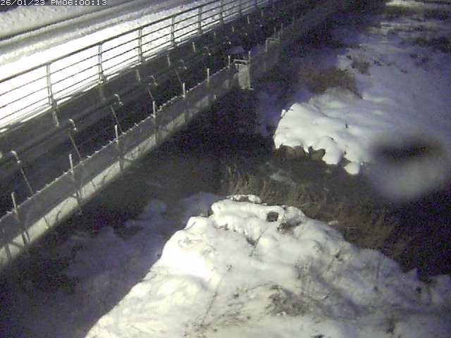 勝田川１2026/01/24 1:00:00