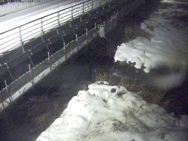 勝田川１2026/01/24 1:00:00