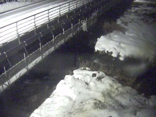 勝田川１2026/01/24 1:00:00