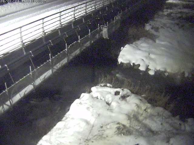 勝田川１2026/01/24 1:00:00