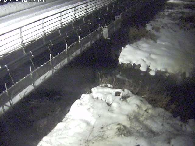 勝田川１2026/01/24 1:00:00