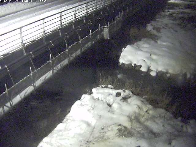 勝田川１2026/01/24 1:00:00