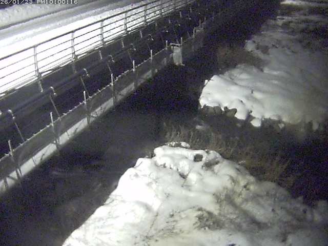 勝田川１2026/01/24 1:00:00