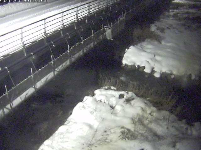 勝田川１2026/01/24 1:00:00