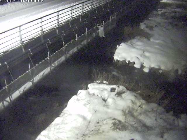 勝田川１2026/01/24 1:00:00