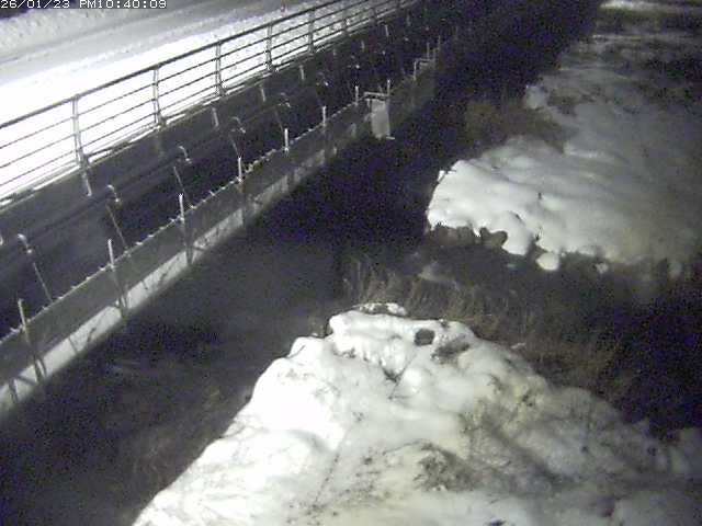 勝田川１2026/01/24 1:00:00