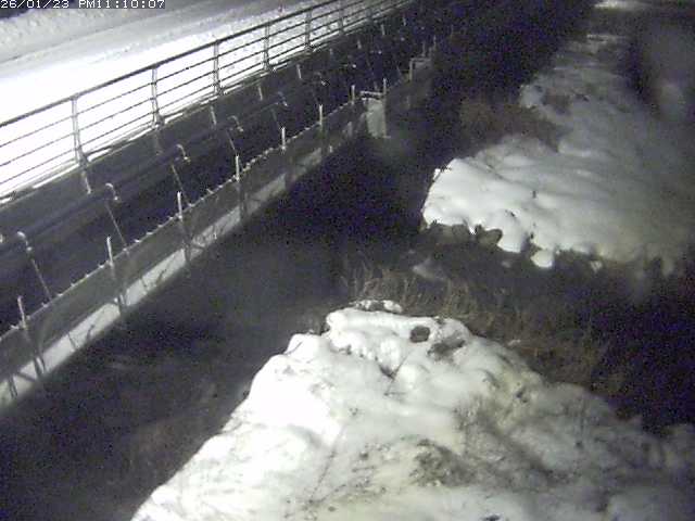 勝田川１2026/01/24 1:00:00