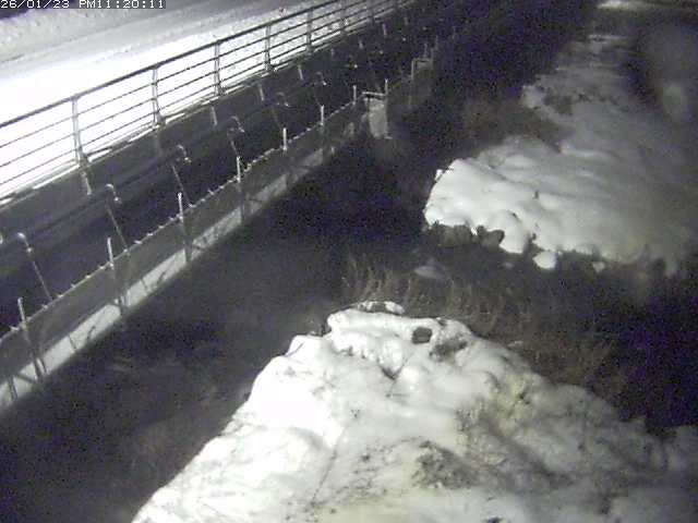 勝田川１2026/01/24 1:00:00