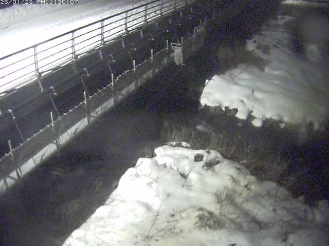 勝田川１2026/01/24 1:00:00