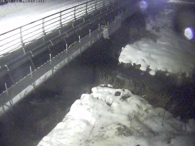 勝田川１2026/01/24 1:00:00