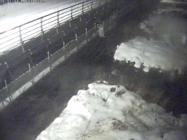 勝田川１2026/01/24 1:00:00