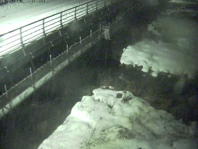 勝田川１2026/01/24 1:00:00